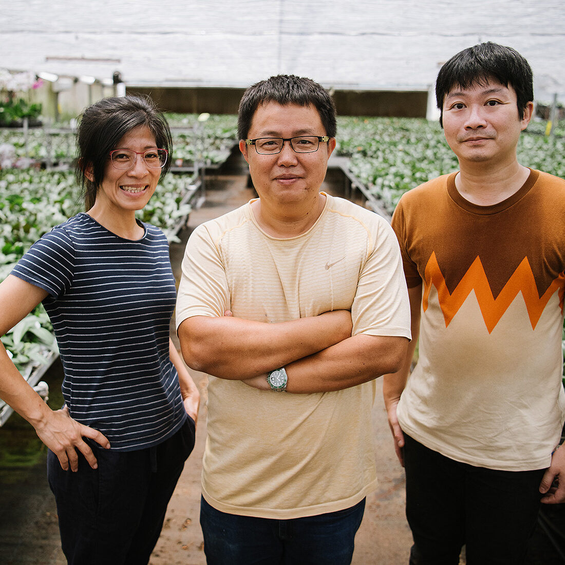 About Formosa Orchid Nursery