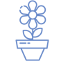repotting_how-to-care